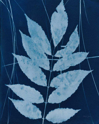Enchanted Cyanotype IX White Modern Wood Framed Art Print with Double Matting by Green, Nancy