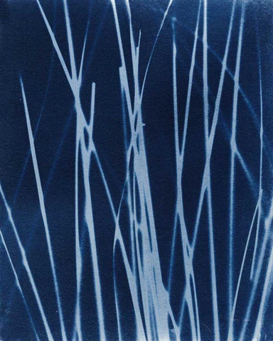 Enchanted Cyanotype X White Modern Wood Framed Art Print with Double Matting by Green, Nancy