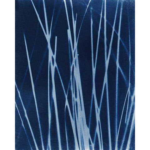 Enchanted Cyanotype X Black Modern Wood Framed Art Print by Green, Nancy
