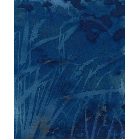 Enchanted Cyanotype XI Gold Ornate Wood Framed Art Print with Double Matting by Green, Nancy