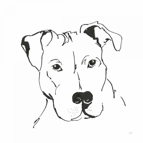 Line Dog Pitbull II White Modern Wood Framed Art Print by Paschke, Chris