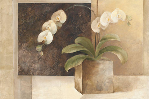 Contemporary Orchid Black Ornate Wood Framed Art Print with Double Matting by Hristova, Albena