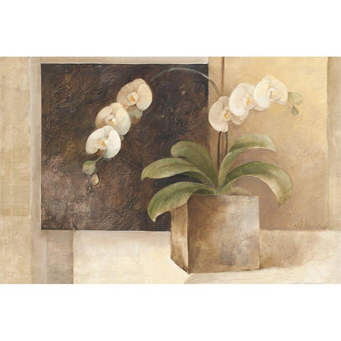 Contemporary Orchid Black Modern Wood Framed Art Print with Double Matting by Hristova, Albena