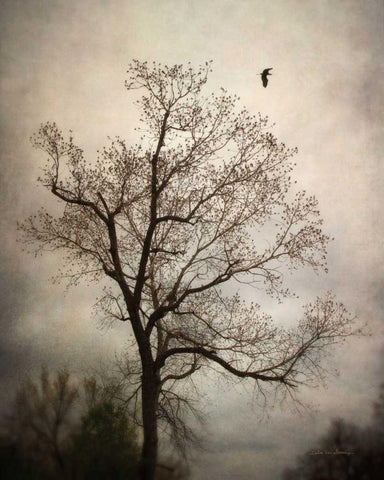 The Flyover Black Ornate Wood Framed Art Print with Double Matting by Van Swearingen, Debra