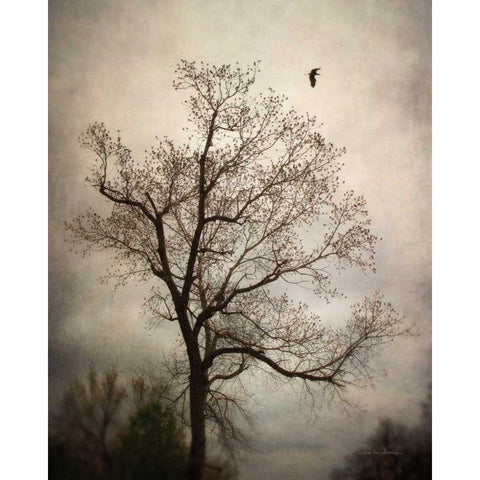 The Flyover White Modern Wood Framed Art Print by Van Swearingen, Debra