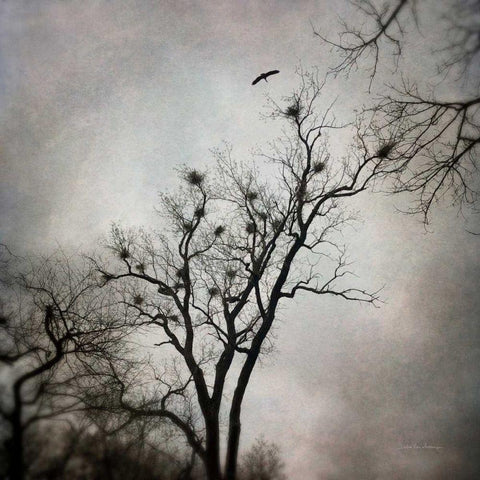 The Heron Rookery White Modern Wood Framed Art Print with Double Matting by Van Swearingen, Debra