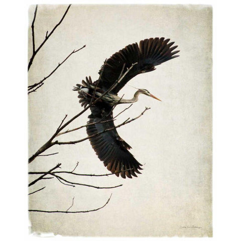 Grace Black Modern Wood Framed Art Print with Double Matting by Van Swearingen, Debra