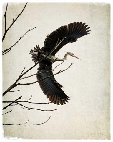 Grace White Modern Wood Framed Art Print with Double Matting by Van Swearingen, Debra