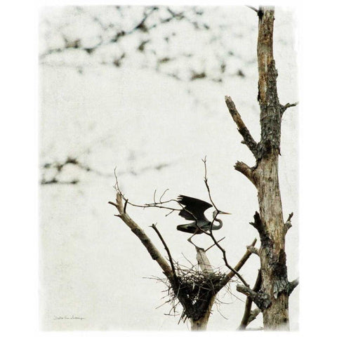 Poised Black Modern Wood Framed Art Print with Double Matting by Van Swearingen, Debra