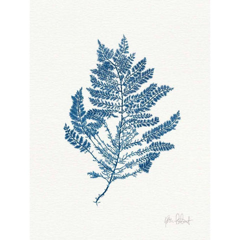 Sea Garden III Royal Blue White Modern Wood Framed Art Print by Pertiet, Katie