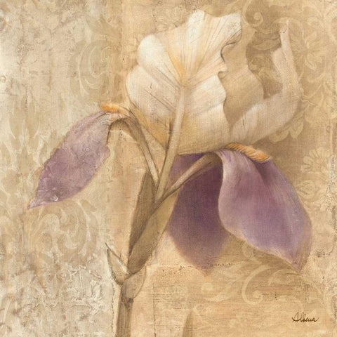 Brocade Iris - Wag White Modern Wood Framed Art Print with Double Matting by Hristova, Albena