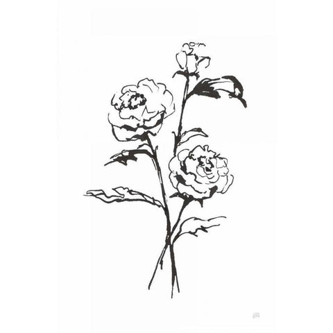Line Ranunculus I White Modern Wood Framed Art Print by Paschke, Chris