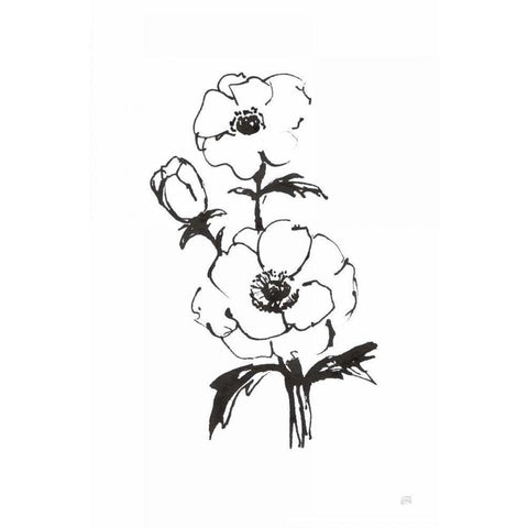 Line Anemone II White Modern Wood Framed Art Print by Paschke, Chris