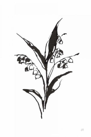 Line Lily of the Valley I White Modern Wood Framed Art Print with Double Matting by Paschke, Chris