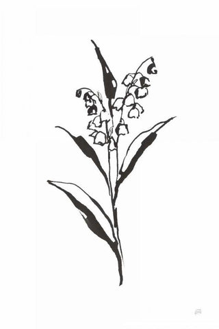 Line Lily of the Valley II Black Ornate Wood Framed Art Print with Double Matting by Paschke, Chris