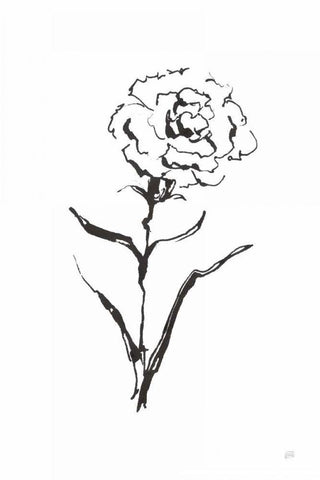Line Carnation I Black Ornate Wood Framed Art Print with Double Matting by Paschke, Chris