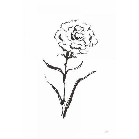 Line Carnation I White Modern Wood Framed Art Print by Paschke, Chris