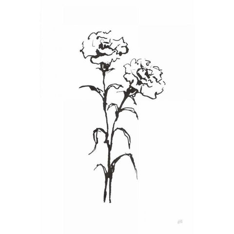 Line Carnation II White Modern Wood Framed Art Print by Paschke, Chris