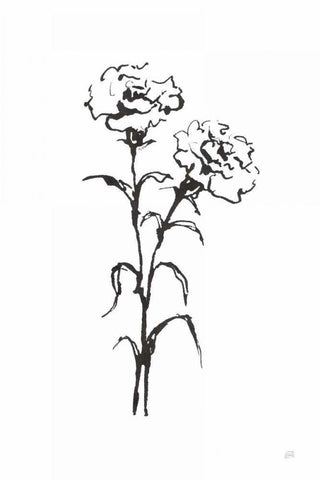 Line Carnation II Black Ornate Wood Framed Art Print with Double Matting by Paschke, Chris