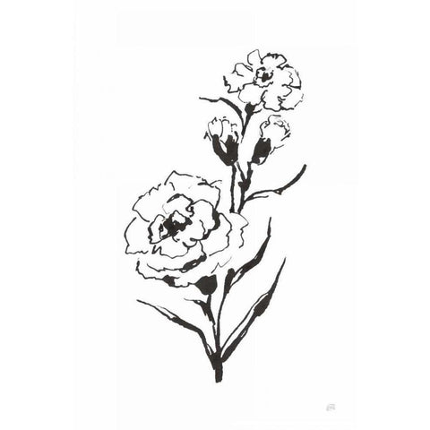 Line Carnation III Gold Ornate Wood Framed Art Print with Double Matting by Paschke, Chris