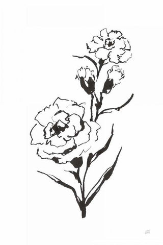Line Carnation III Black Ornate Wood Framed Art Print with Double Matting by Paschke, Chris