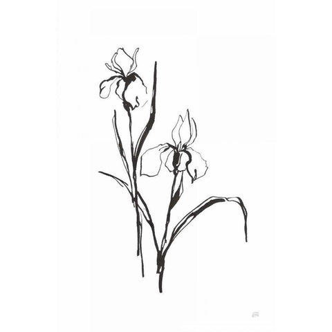Line Iris III White Modern Wood Framed Art Print by Paschke, Chris