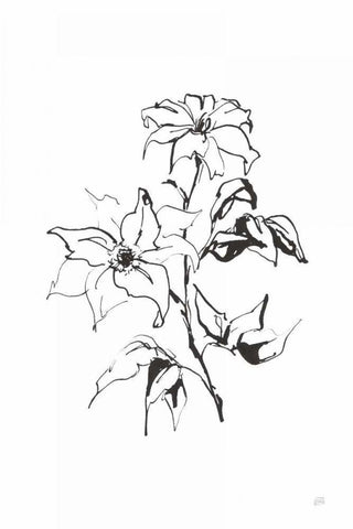 Line Clematis Black Ornate Wood Framed Art Print with Double Matting by Paschke, Chris