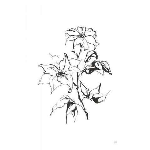 Line Clematis Black Modern Wood Framed Art Print by Paschke, Chris