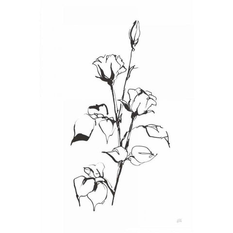 Line Rosebuds Black Modern Wood Framed Art Print with Double Matting by Paschke, Chris