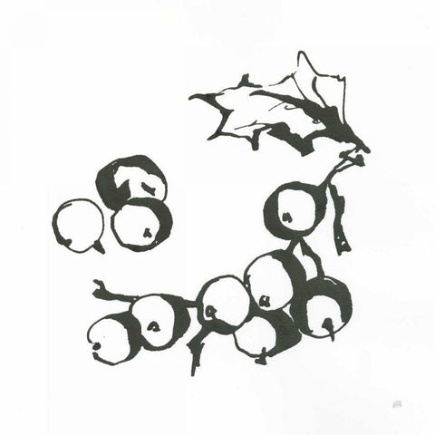 Grapes II BW White Modern Wood Framed Art Print by Paschke, Chris