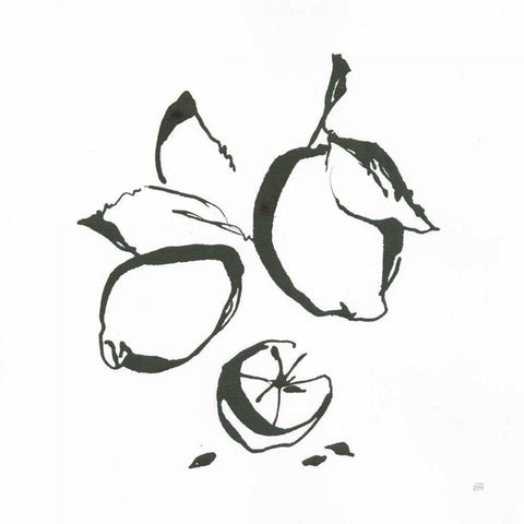 Lemons BW Black Modern Wood Framed Art Print by Paschke, Chris