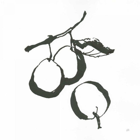 Plums II BW Black Ornate Wood Framed Art Print with Double Matting by Paschke, Chris