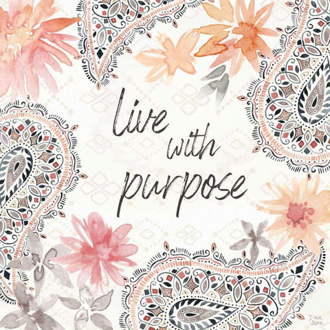 Kasbah Crush VI Black Ornate Wood Framed Art Print with Double Matting by June, Dina