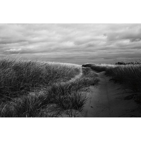 Beach Grasses Gold Ornate Wood Framed Art Print with Double Matting by Aledanda