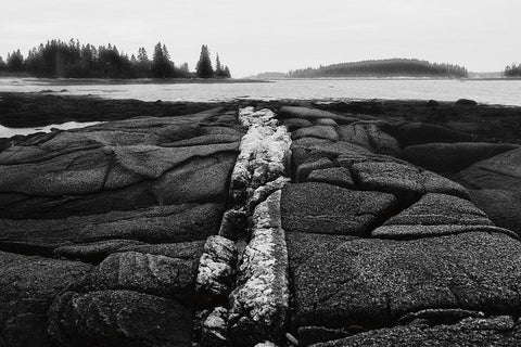 Fissures in Maine Black Ornate Wood Framed Art Print with Double Matting by Aledanda