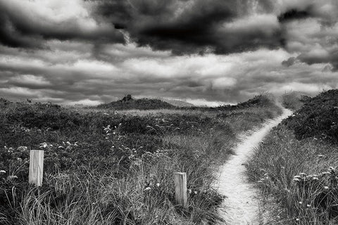 Nantucket Pathway Black Ornate Wood Framed Art Print with Double Matting by Aledanda