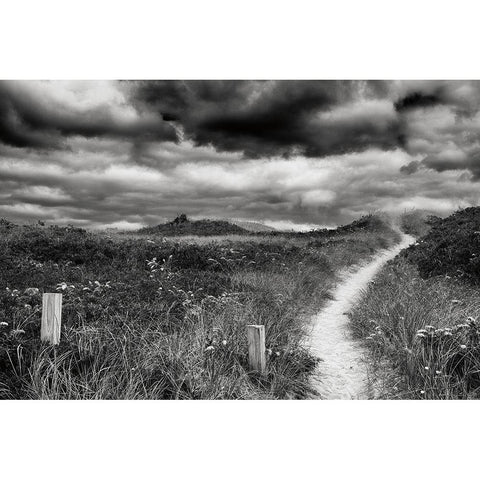 Nantucket Pathway Black Modern Wood Framed Art Print with Double Matting by Aledanda