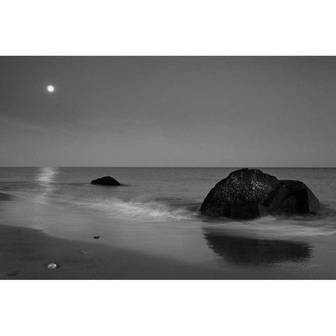 Summer Moon Black Modern Wood Framed Art Print with Double Matting by Aledanda