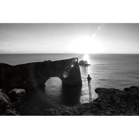 Dyrholaey Gold Ornate Wood Framed Art Print with Double Matting by Marshall, Laura