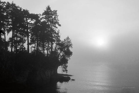 Tongue Point Black Ornate Wood Framed Art Print with Double Matting by Marshall, Laura