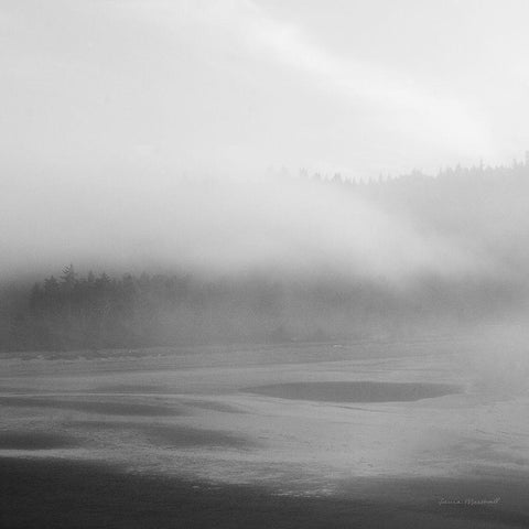 Salt Creek I Gold Ornate Wood Framed Art Print with Double Matting by Marshall, Laura