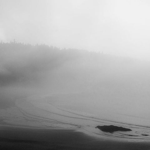 Salt Creek II White Modern Wood Framed Art Print by Marshall, Laura