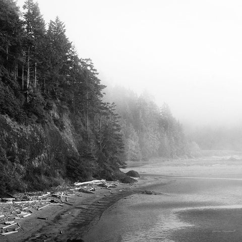 Salt Creek III Black Modern Wood Framed Art Print with Double Matting by Marshall, Laura