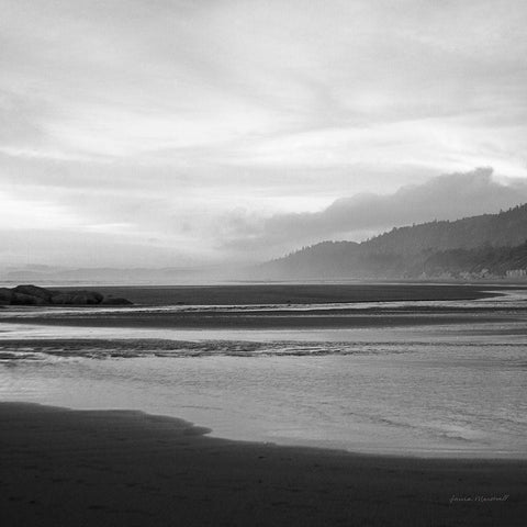 Salt Creek IV Black Modern Wood Framed Art Print by Marshall, Laura