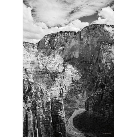 Scouts Landing II Black Modern Wood Framed Art Print by Marshall, Laura