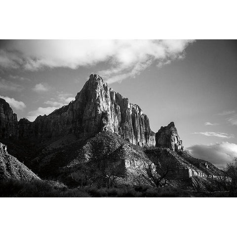 The Watchman I Black Modern Wood Framed Art Print by Marshall, Laura