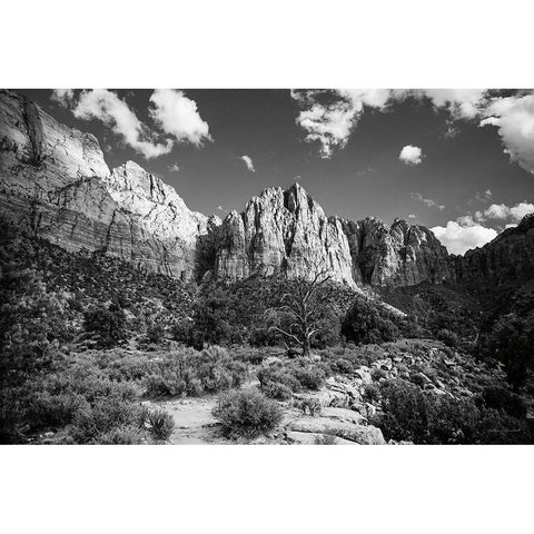 The Watchman II Black Modern Wood Framed Art Print by Marshall, Laura