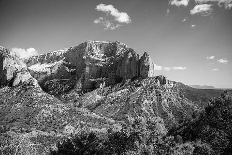 Timber Top White Modern Wood Framed Art Print with Double Matting by Marshall, Laura