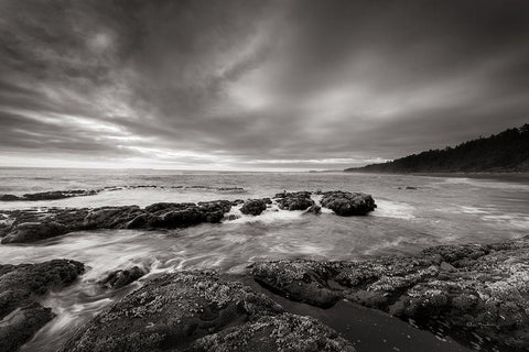 Kalaloch Beach White Modern Wood Framed Art Print with Double Matting by Majchrowicz, Alan