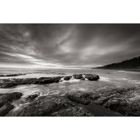 Kalaloch Beach White Modern Wood Framed Art Print by Majchrowicz, Alan